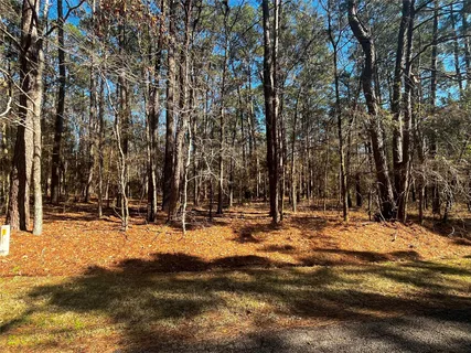 $23,000 | 55 Green Tree Drive, Coldspring, TX 77331