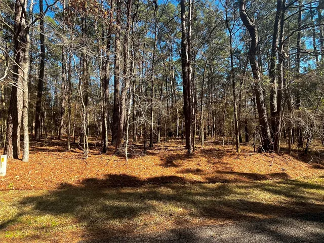 $23,000 | 55 Green Tree Drive, Coldspring, TX 77331