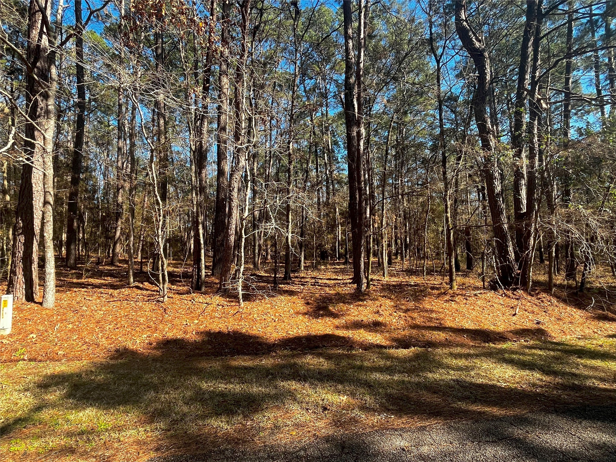 55 Green Tree Drive Coldspring, TX 77331 - Photo 3 of 16 This is prime lot to build your weekend get away