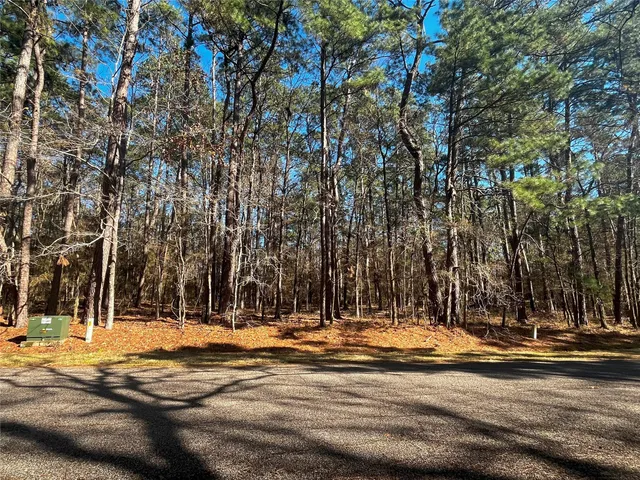 $23,000 | 55 Green Tree Drive, Coldspring, TX 77331