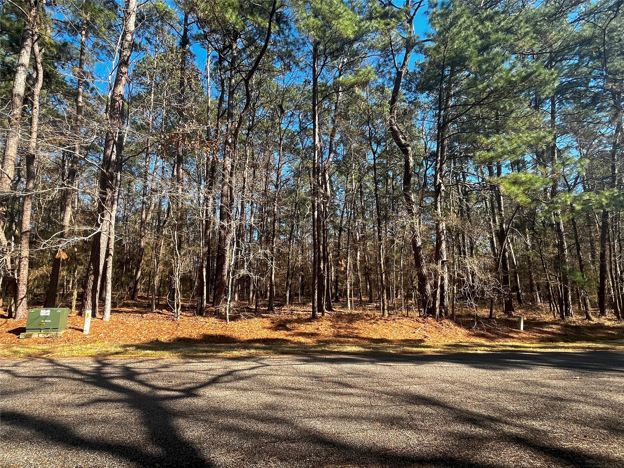 55 Green Tree Drive Coldspring, TX 77331 - Photo 4 of 16 Nature at its best!