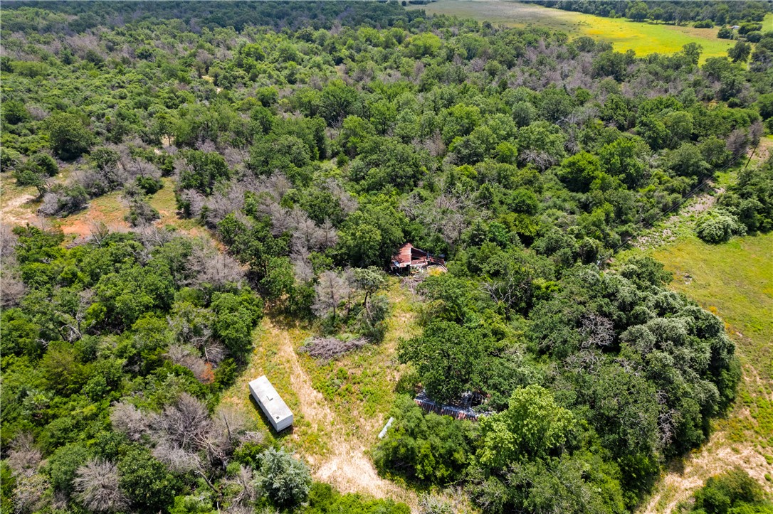 2874 Old Boone Prairie Road Franklin, TX 77856 - Photo 14 of 15 a view of a yard with plants