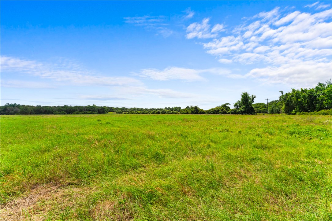 2874 Old Boone Prairie Road Franklin, TX 77856 - Photo 3 of 15 a view of a lake with a big yard