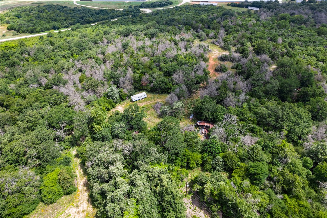 2874 Old Boone Prairie Road Franklin, TX 77856 - Photo 5 of 15 a view of a forest with a houses