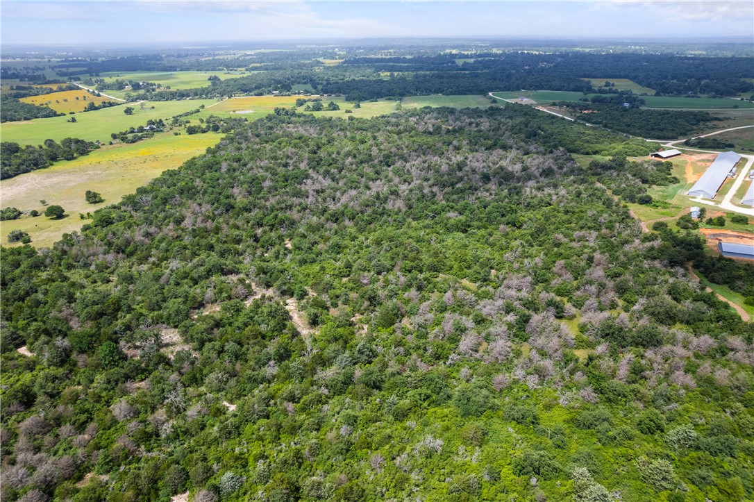 2874 Old Boone Prairie Road Franklin, TX 77856 - Photo 7 of 15