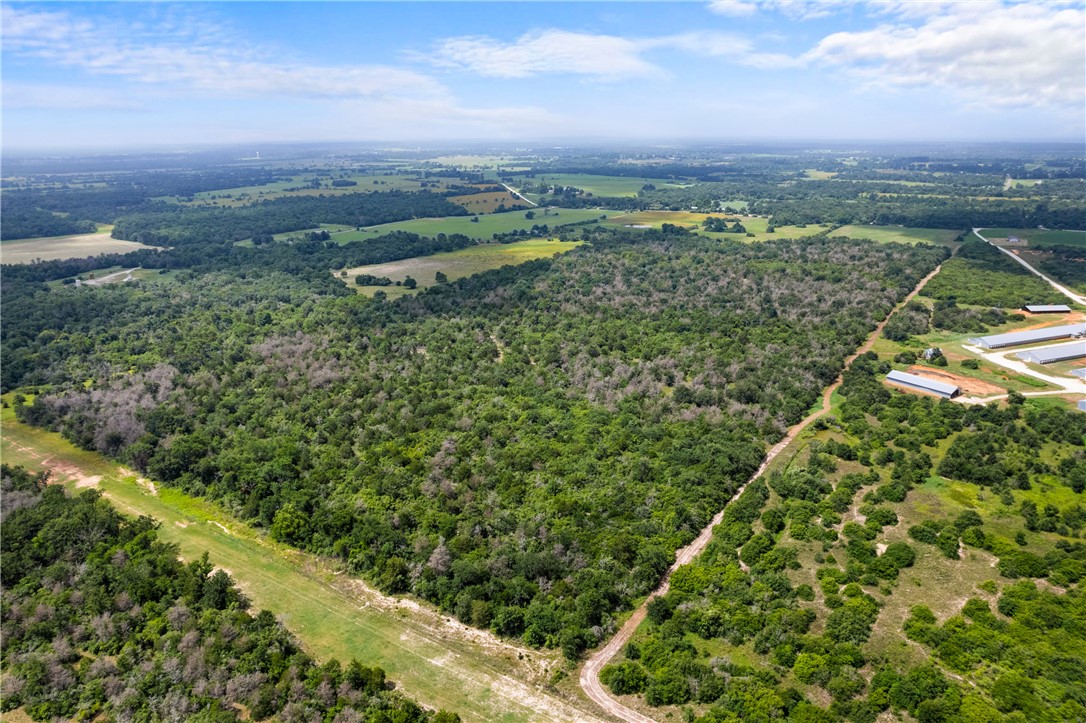 2874 Old Boone Prairie Road Franklin, TX 77856 - Photo 8 of 15 a view of a outdoor space