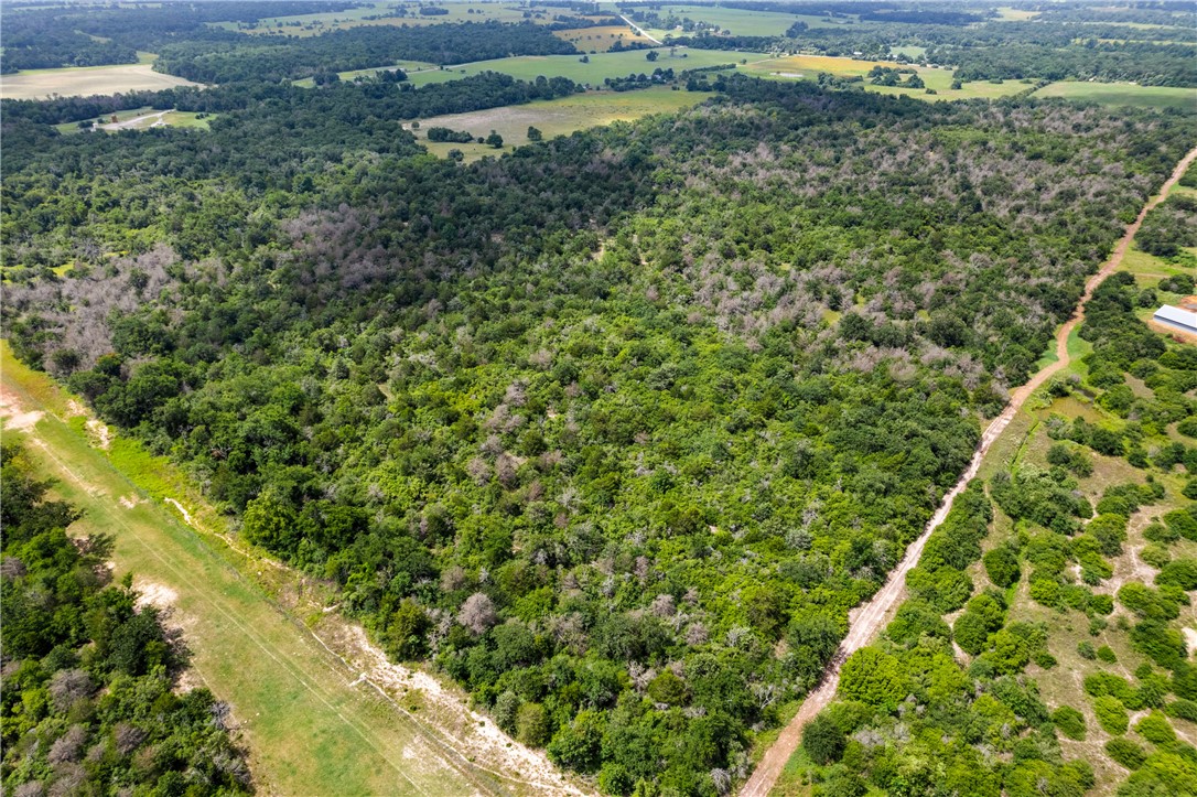 2874 Old Boone Prairie Road Franklin, TX 77856 - Photo 9 of 15 a view of a yard with a tree