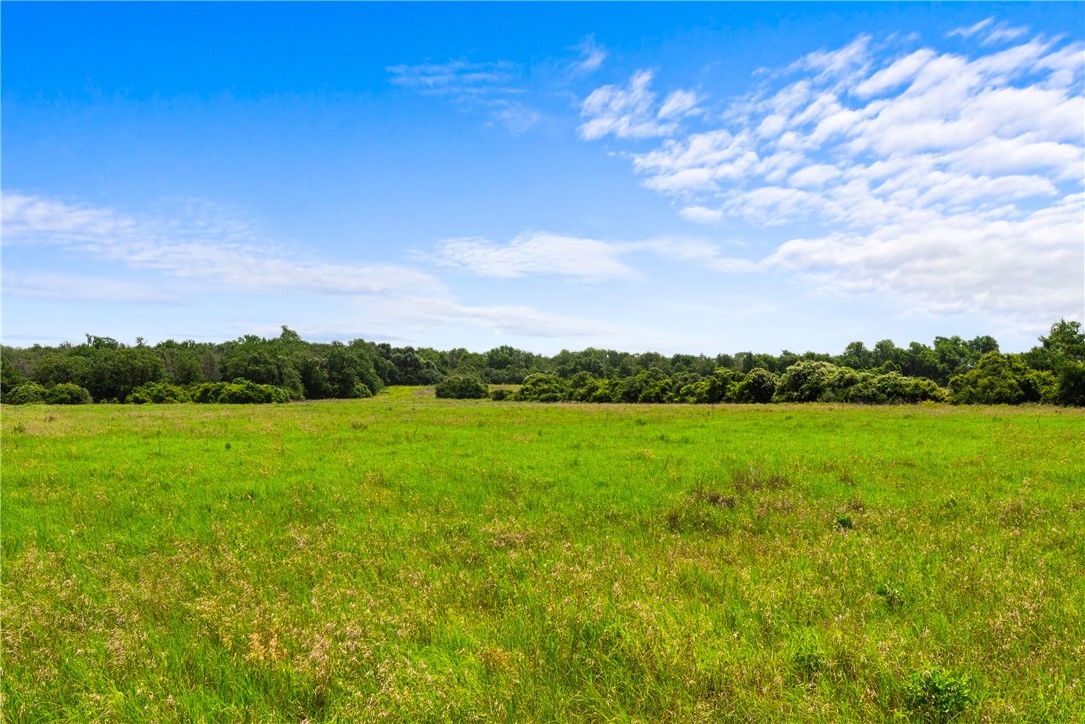 2874 Old Boone Prairie Road Franklin, TX 77856 - Photo 10 of 15 a view of field with an ocean