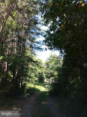 543 Courthouse Road Stafford, VA 22554 - Photo 22 of 25 Driveway