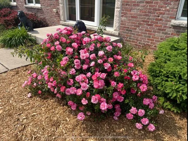 $799,900 | 25812 91st Street, Salem Lakes, WI 53168