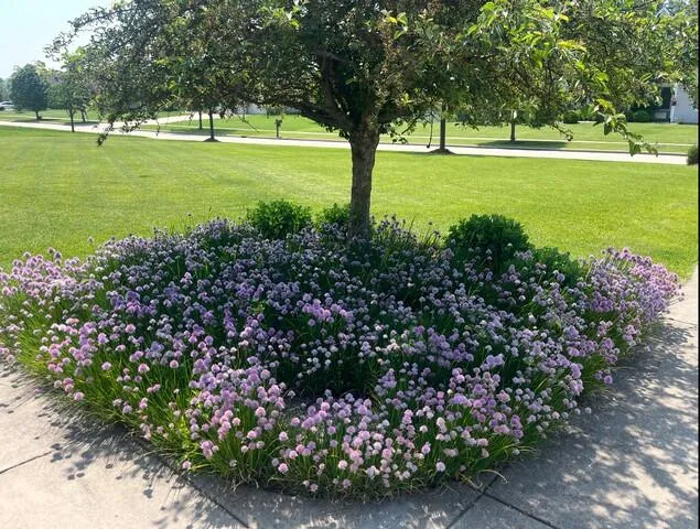 $799,900 | 25812 91st Street, Salem Lakes, WI 53168