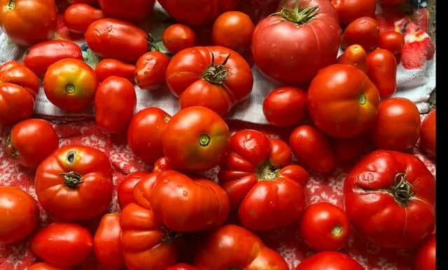 $799,900 | 25812 91st Street, Salem Lakes, WI 53168