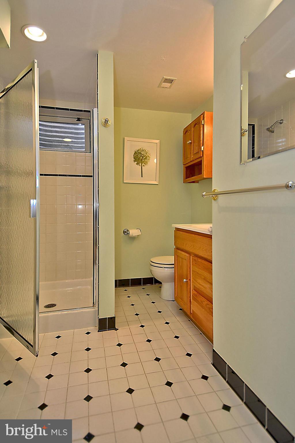 102 East Indian Spring Drive Silver Spring, MD 20901 - Photo 27 of 30 Lower level full bath is great for in-laws/guests.