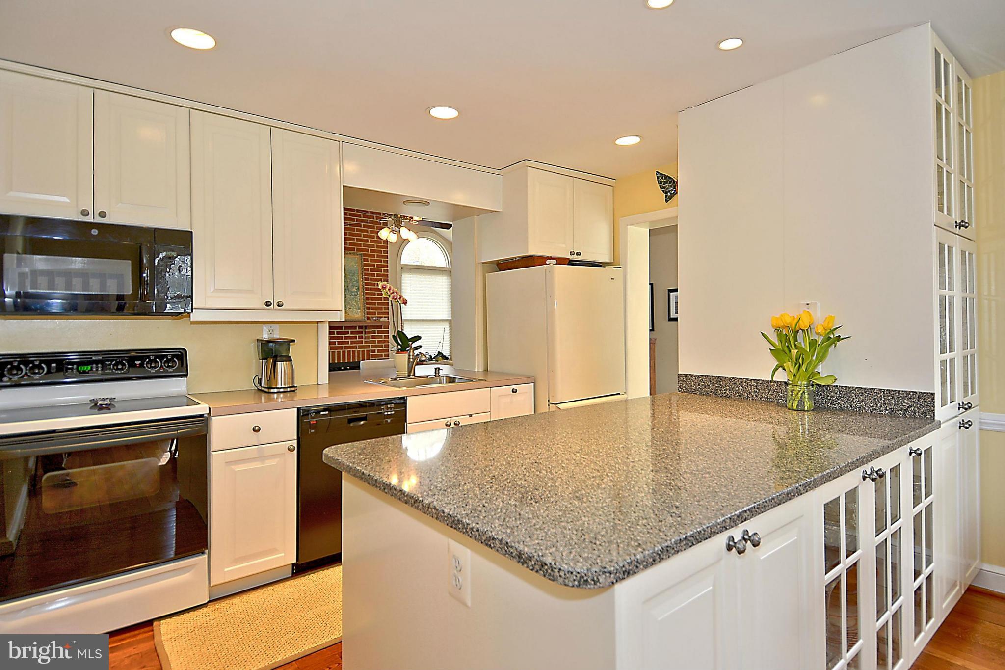 102 East Indian Spring Drive Silver Spring, MD 20901 - Photo 9 of 30 Bright, updated kitchen with view of family room.