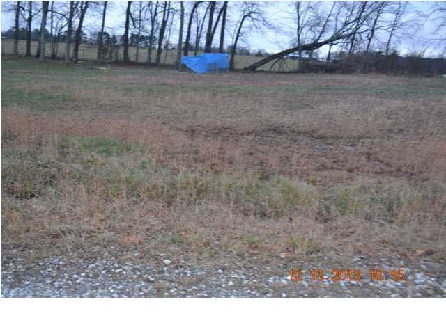 1163 Walker Road Dayton, TN 37321 - Photo 4 of 32 Additional Photo