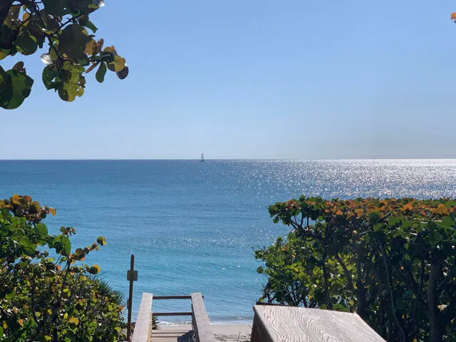 a view of a lake with a mountain