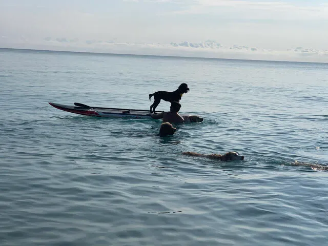 a view of a lake view