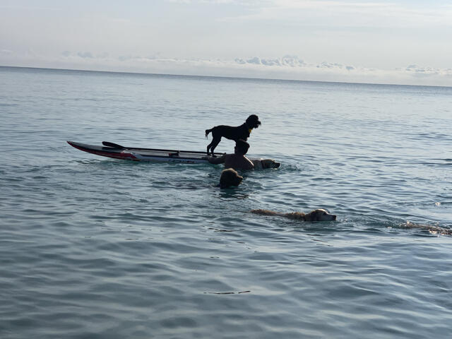 1605 Highway 1, Unit F204 Jupiter, FL 33477 - Photo 28 of 33 a view of a lake view