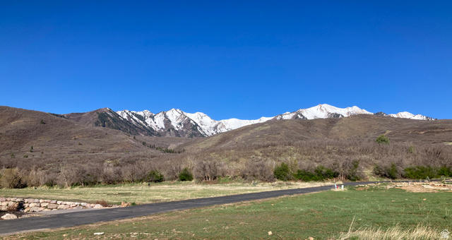 259 Meadow Drive Springville, UT 84663 - Photo 6 of 62 View of mountain backdrop