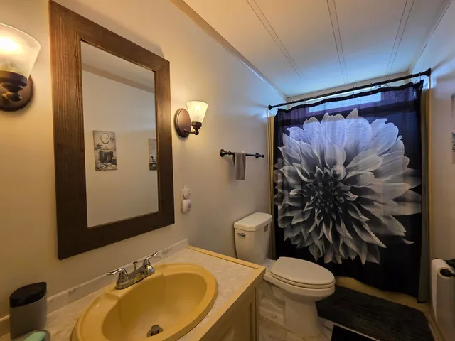 a bathroom with a sink toilet and shower