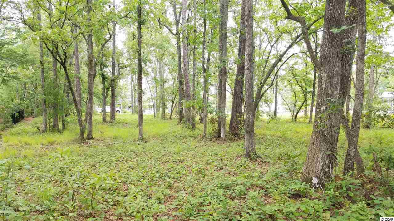 548 Chamberlin Road Myrtle Beach, SC 29588 - Photo 1 of 21 Gallery Image 1