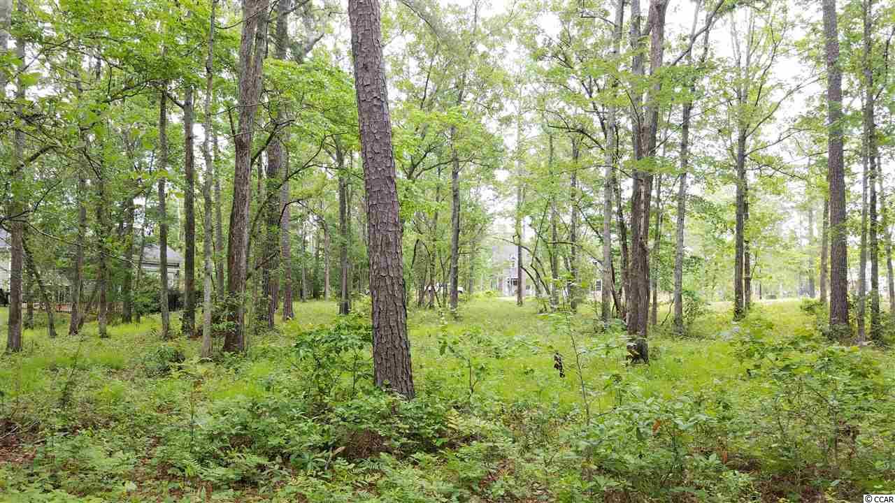 548 Chamberlin Road Myrtle Beach, SC 29588 - Photo 3 of 21 Gallery Image 3