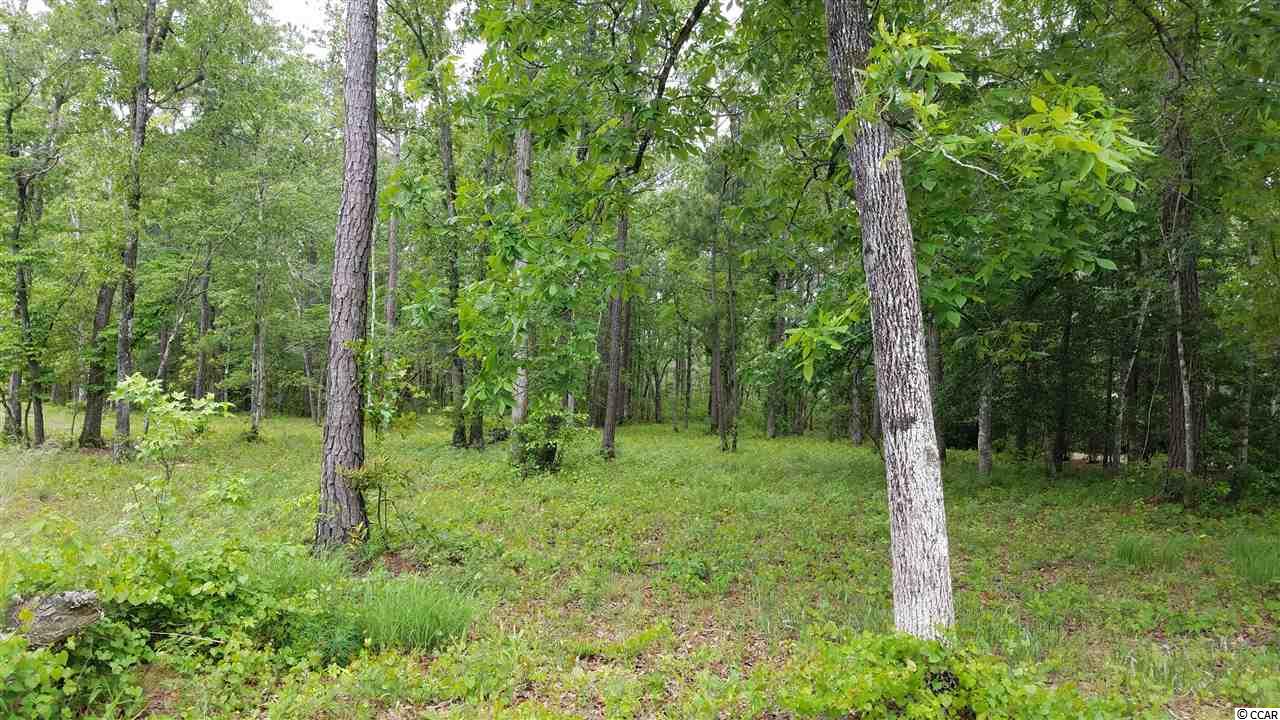 548 Chamberlin Road Myrtle Beach, SC 29588 - Photo 5 of 21 Gallery Image 5