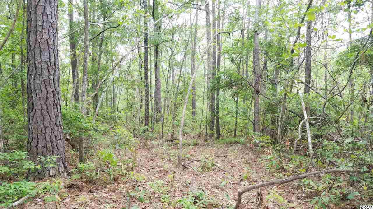 548 Chamberlin Road Myrtle Beach, SC 29588 - Photo 7 of 21 Gallery Image 7