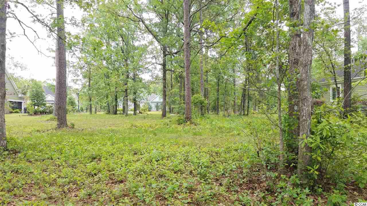 548 Chamberlin Road Myrtle Beach, SC 29588 - Photo 8 of 21 Gallery Image 8