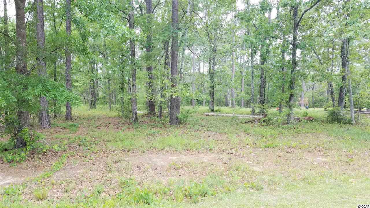548 Chamberlin Road Myrtle Beach, SC 29588 - Photo 9 of 21 Gallery Image 9