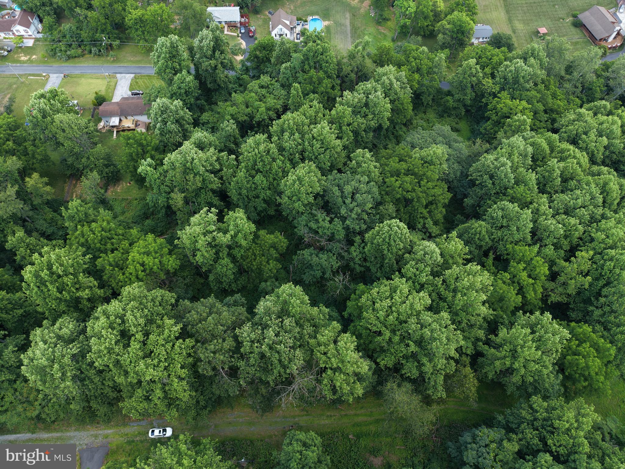 3 52 /- Acres Oak Ridge Trail Fairfield, PA 17320 - Photo 7 of 13