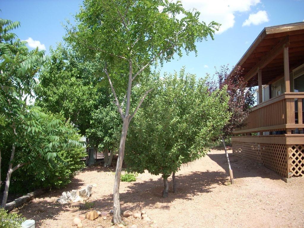 2707 Whiskey Road Overgaard, AZ 85933 - Photo 2 of 18 DSCN9510