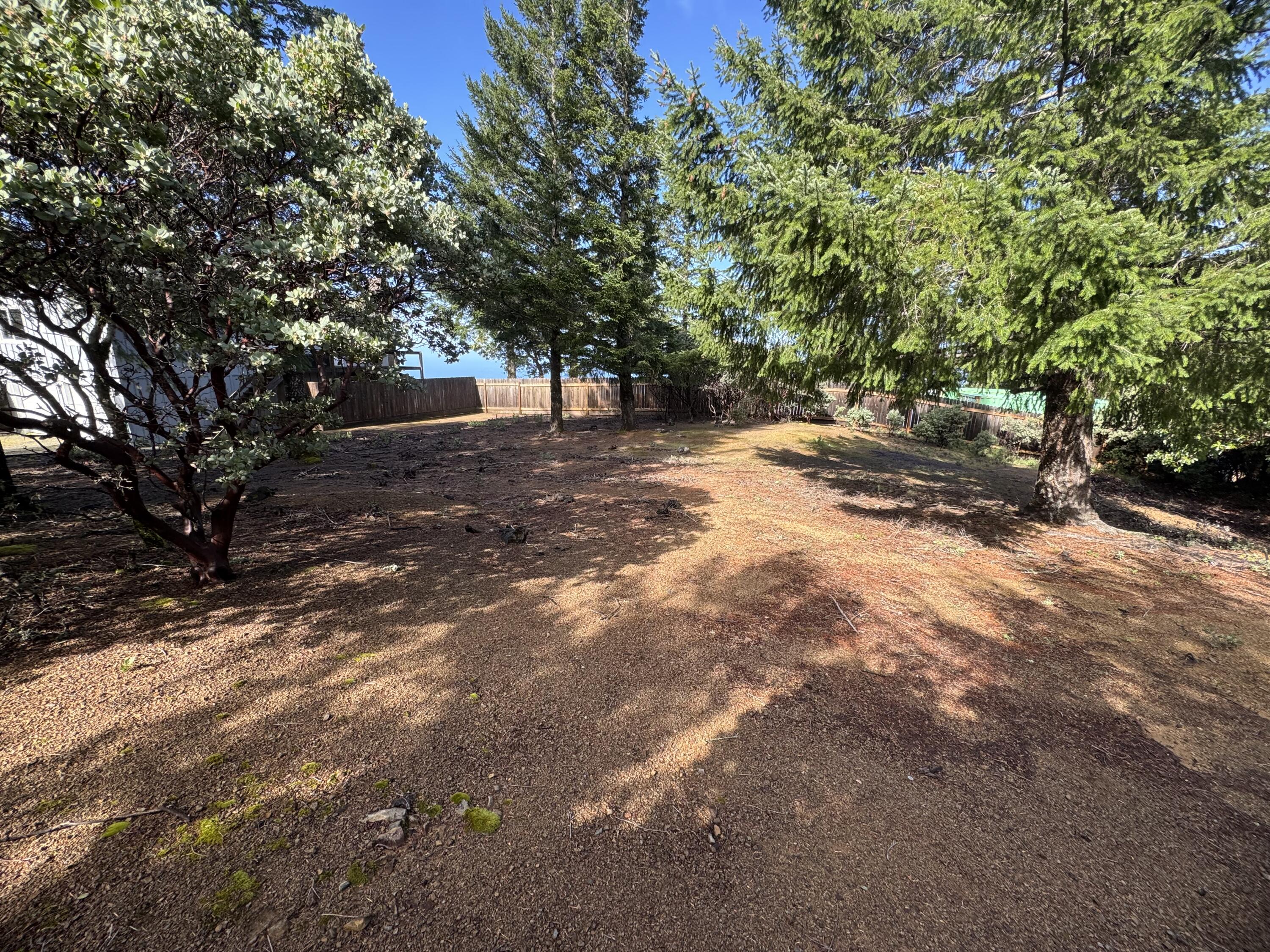 129 Vance Road Shelter Cove, CA 95589 - Photo 4 of 8