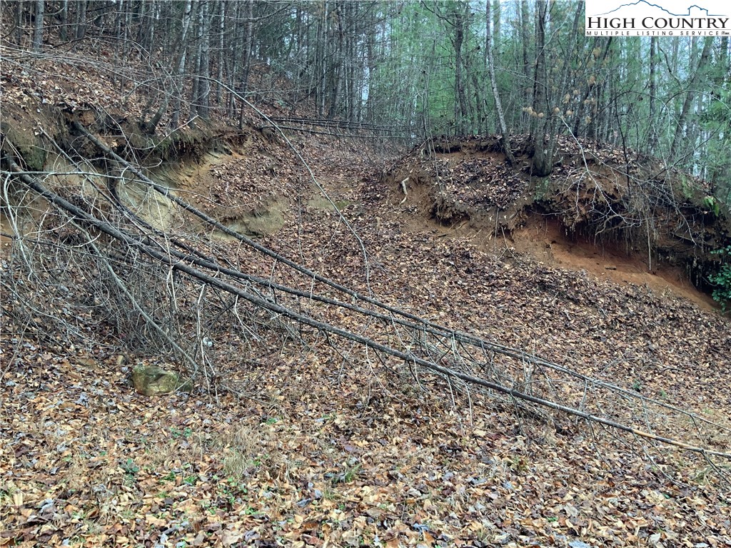Fall Creek Road Purlear, NC 28665 - Photo 8 of 12 Gallery Image 8