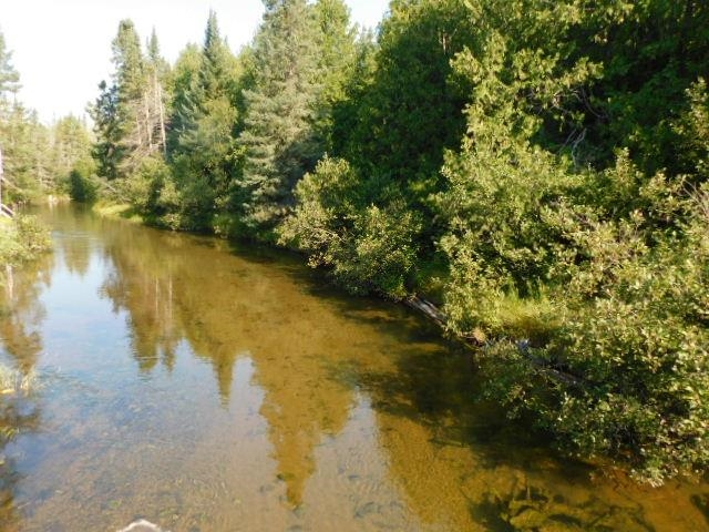 Cameron Bridge Road Frederic, MI 49733 - Photo 32 of 63