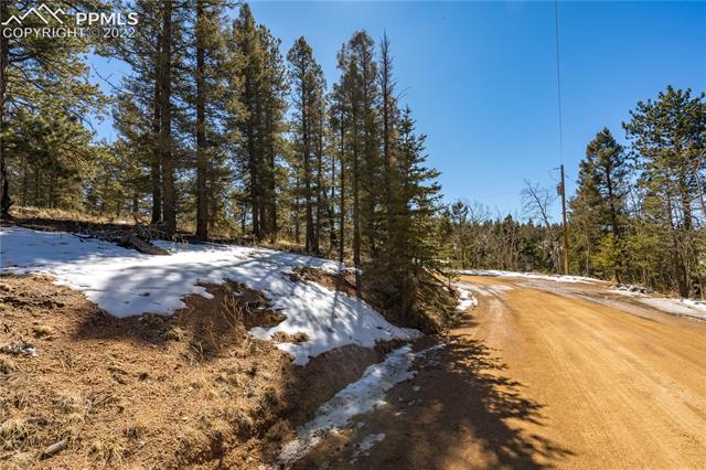 244 Tidi Road Florissant, CO 80816 - Photo 48 of 50