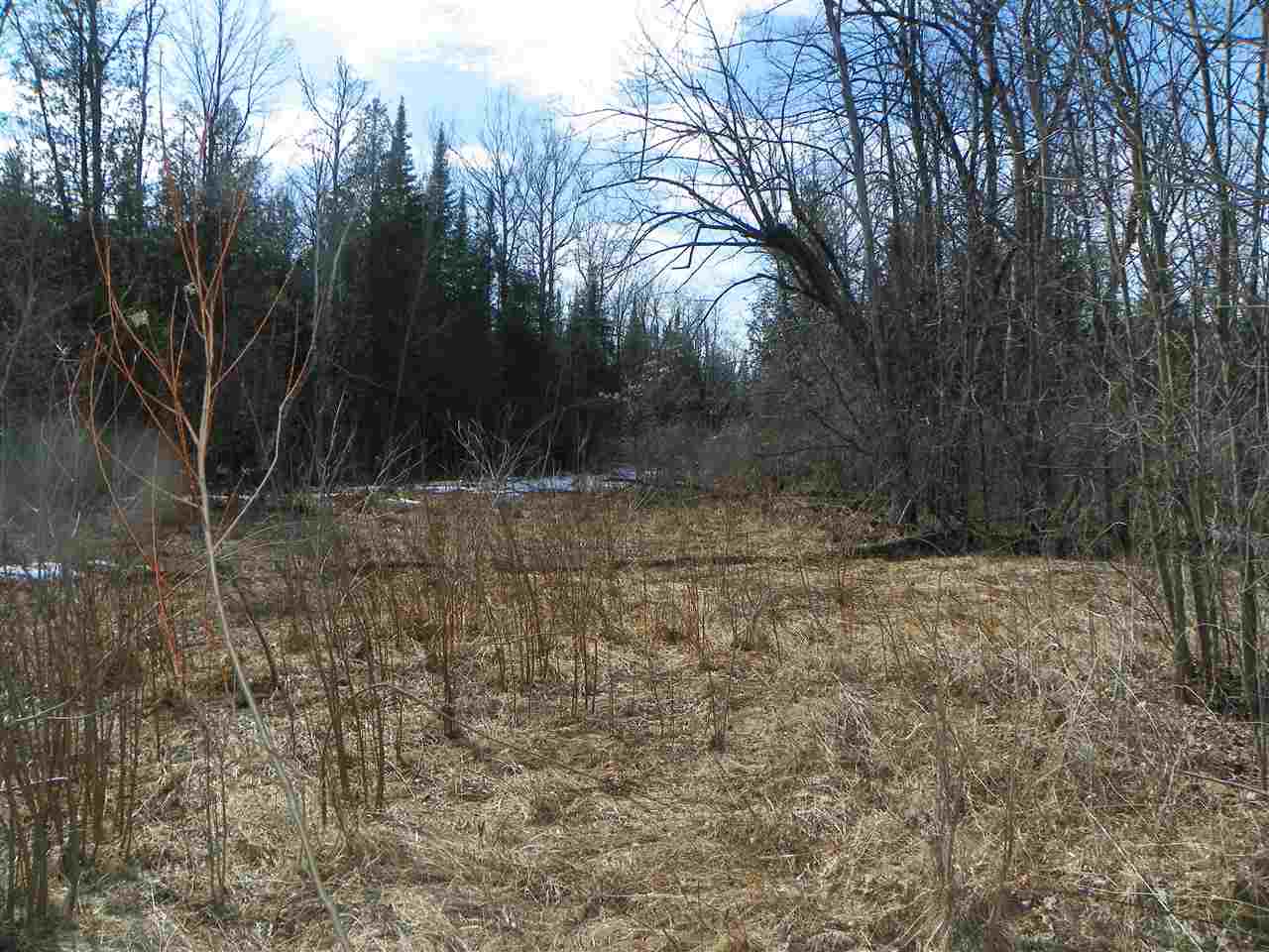Tbd Tbd Pine Marion, MI 49665 - Photo 17 of 18