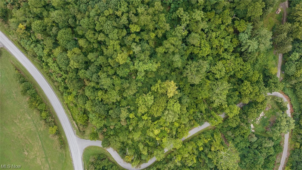 46 County Road Shadyside, OH 43947 - Photo 2 of 3 View of bird's eye view