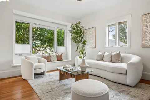 a fireplace with a potted plant in front of it