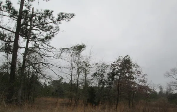 $12,000 | 0 Hicks Park Road, Reynolds, GA 31076