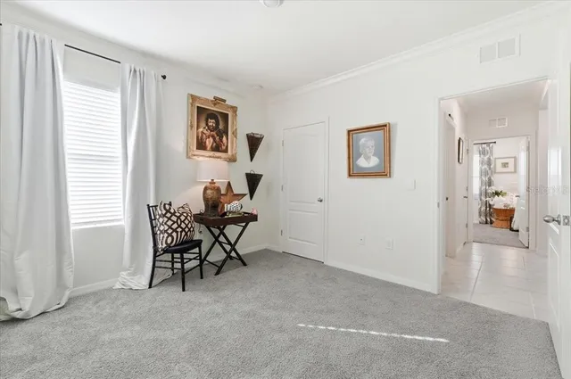 a living room with furniture and a rug