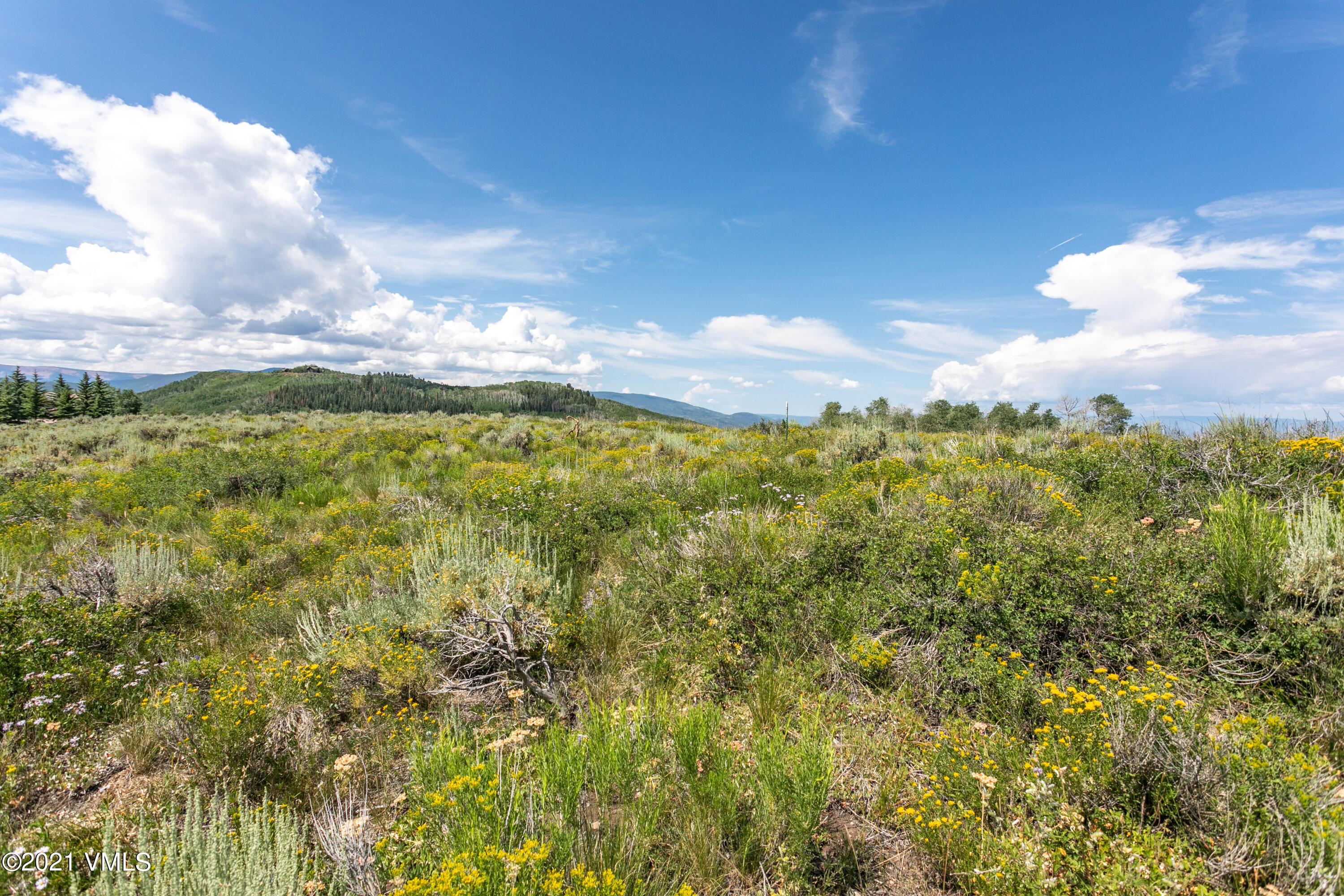 1142 Summit Trail Edwards, CO 81632 - Photo 12 of 17 a view of a houses with sky view