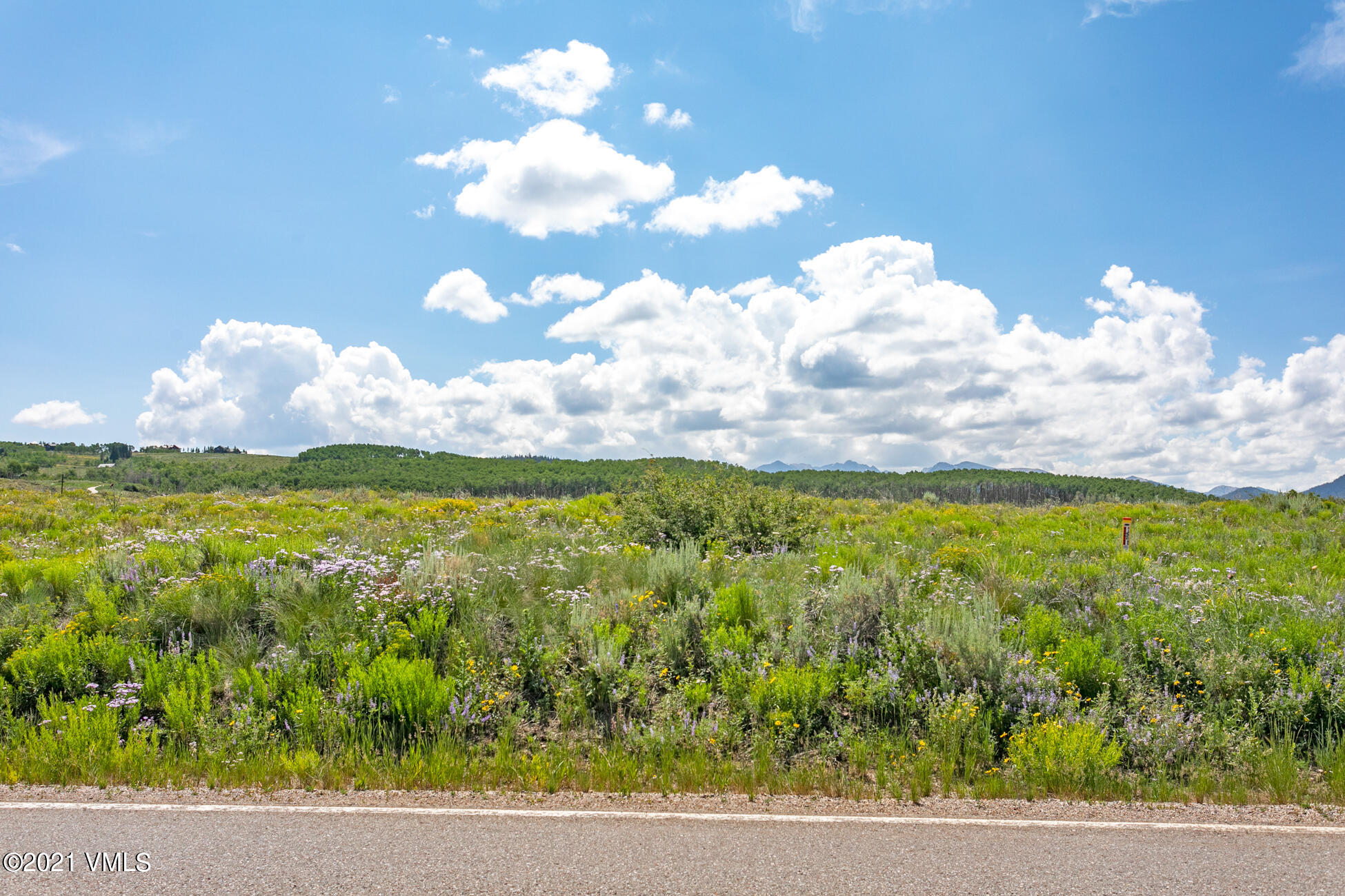1142 Summit Trail Edwards, CO 81632 - Photo 13 of 17 a view of yard with ocean view
