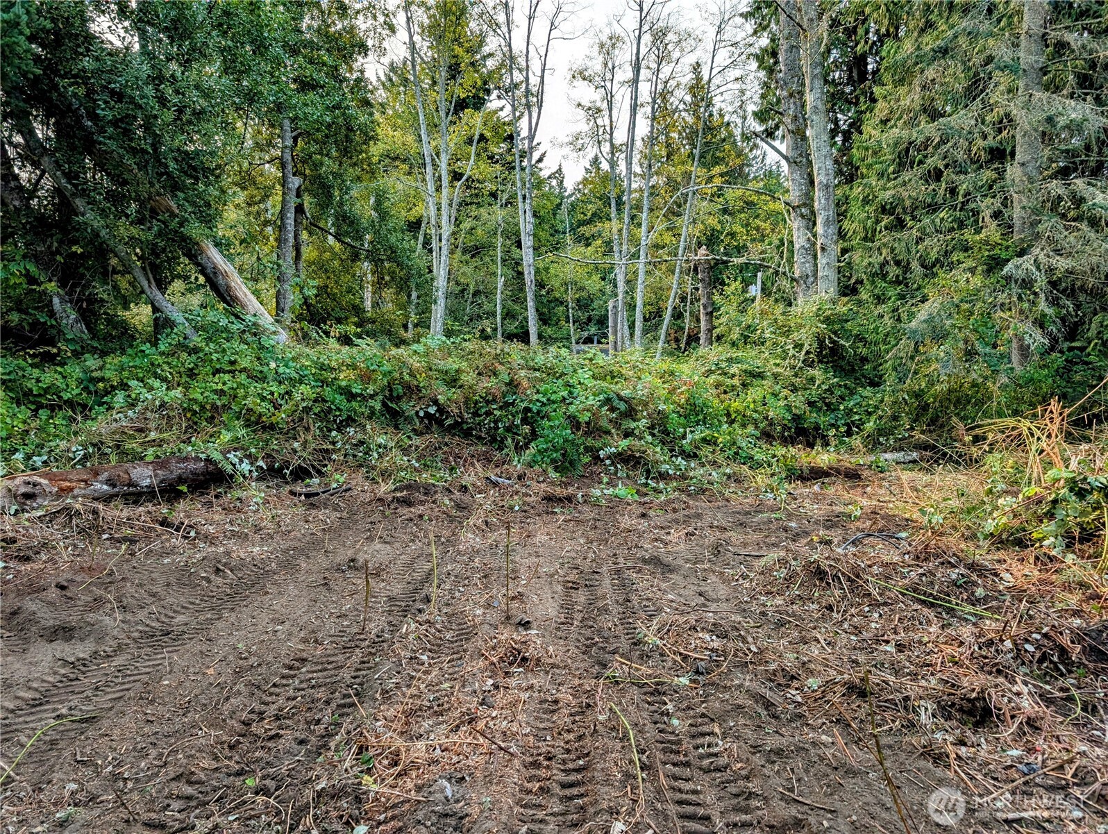 8 Heather Way Point Roberts, WA 98281 - Photo 11 of 15 Gallery Image 11