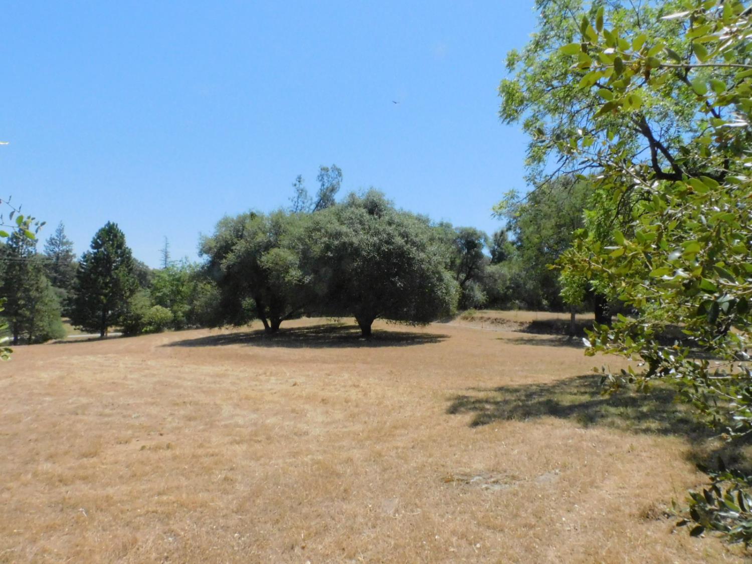 5383 Dream Ranch Circle Placerville, CA 95667 - Photo 91 of 99
