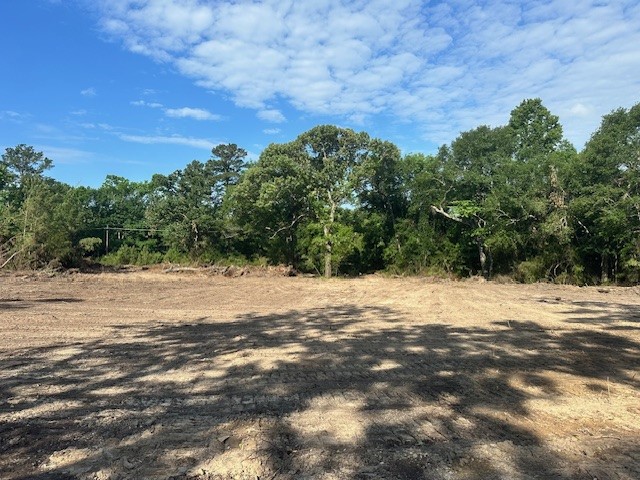 7190 State Highway 75 South Huntsville, TX 77340 - Photo 16 of 17