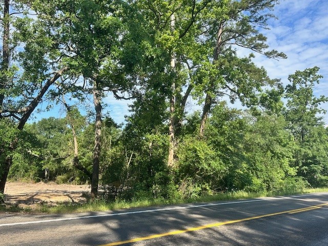 7190 State Highway 75 South Huntsville, TX 77340 - Photo 2 of 17