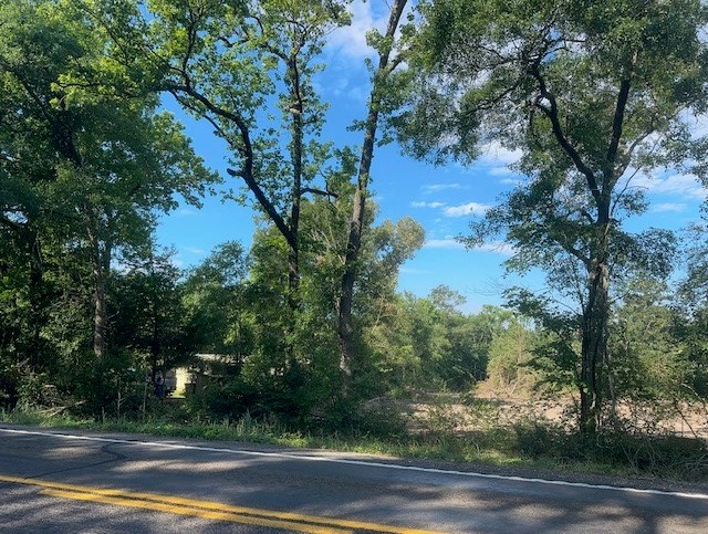 7190 State Highway 75 South Huntsville, TX 77340 - Photo 8 of 17