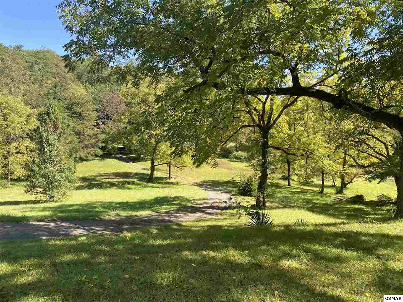 909 Stinnett Ridge Road Cosby, TN 37722 - Photo 2 of 35