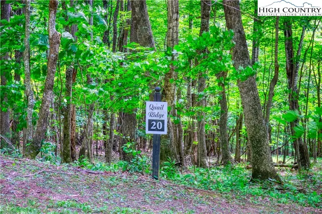 $32,000 | Lot 20 Quail Ridge Drive, Fleetwood, NC 28626